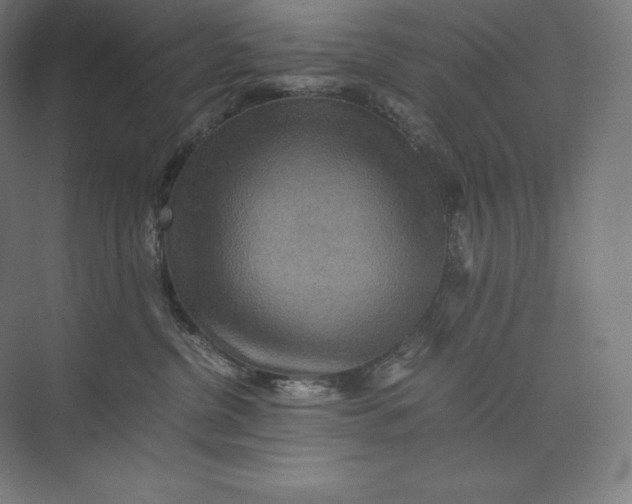 X0000074000380200609061030