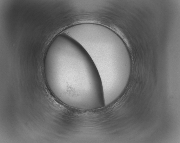 X0000074000385200609061029