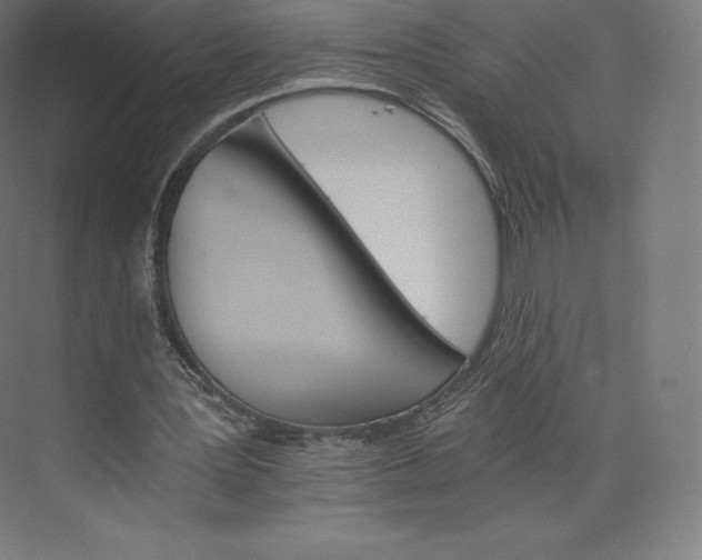 X0000074000387200609061029