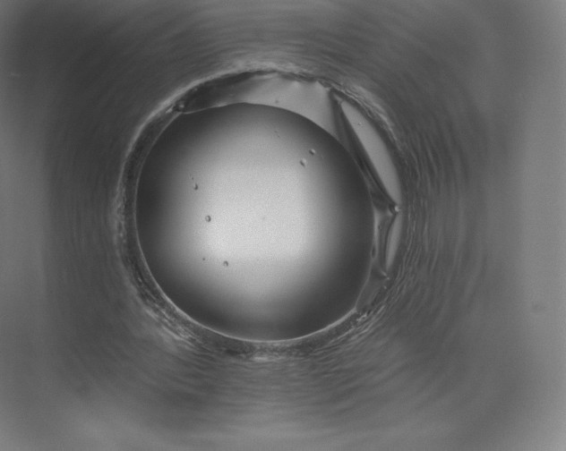 X0000074000388200609061029