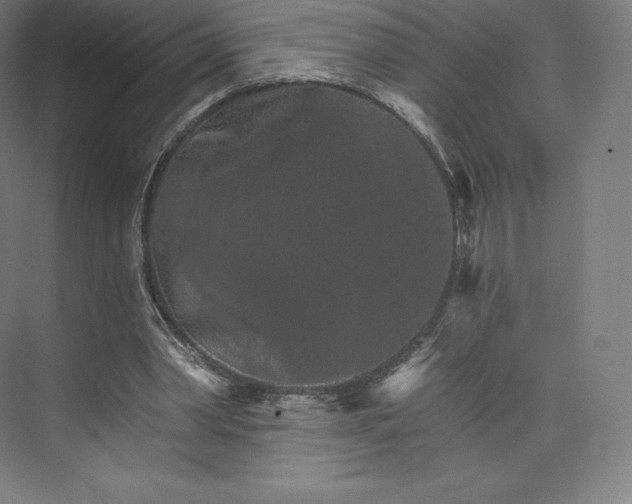 X0000074000390200609061029