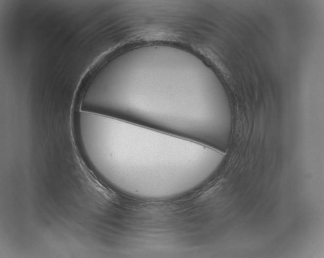 X0000074000391200609061029