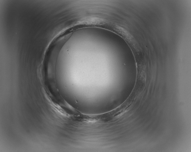 X0000074000392200609061029