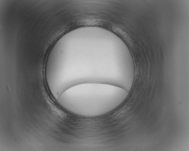 X0000074000394200609061029