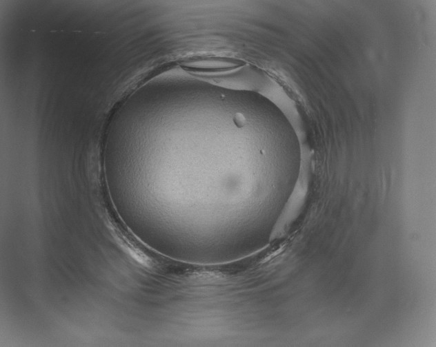 X0000074000397200609061029