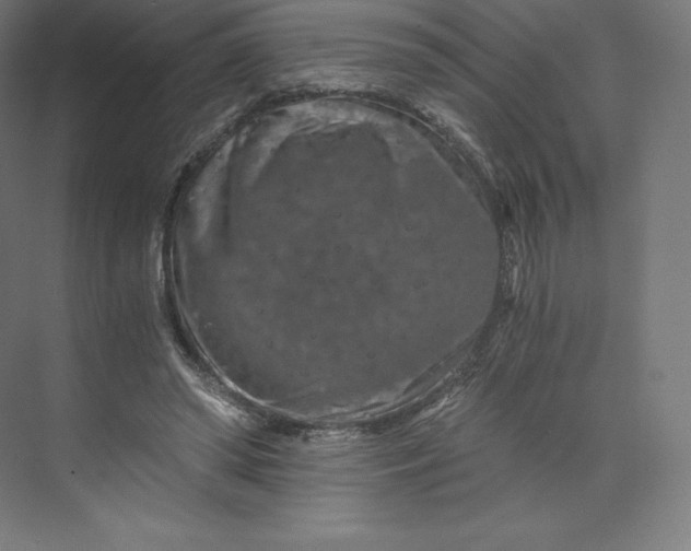 X0000074000398200609061029