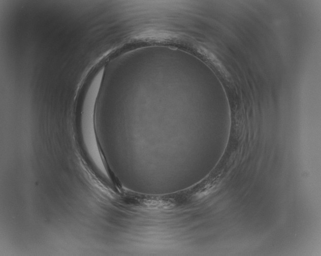 X0000074000399200609061029