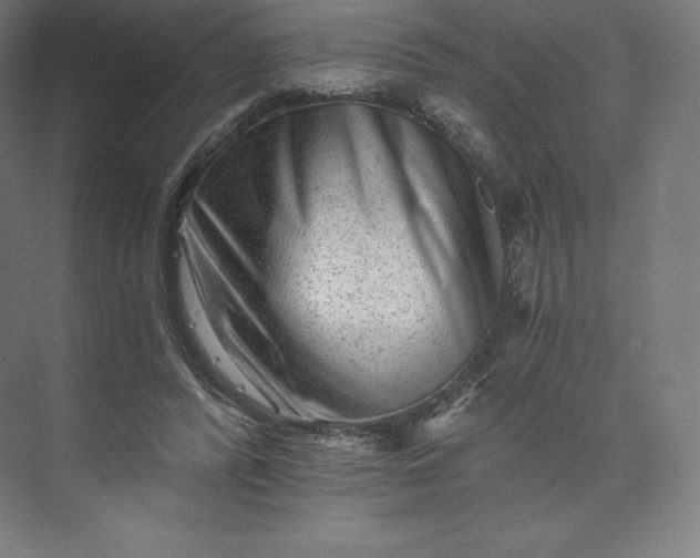 X0000074000400200609061029