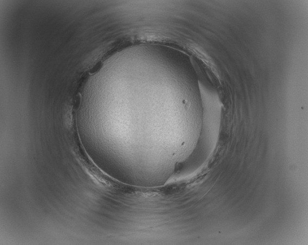 X0000074000401200609061029