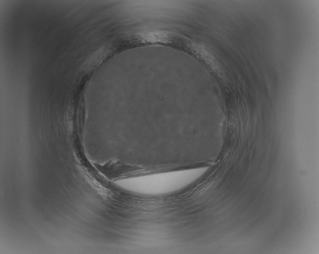 X0000074000402200609061029