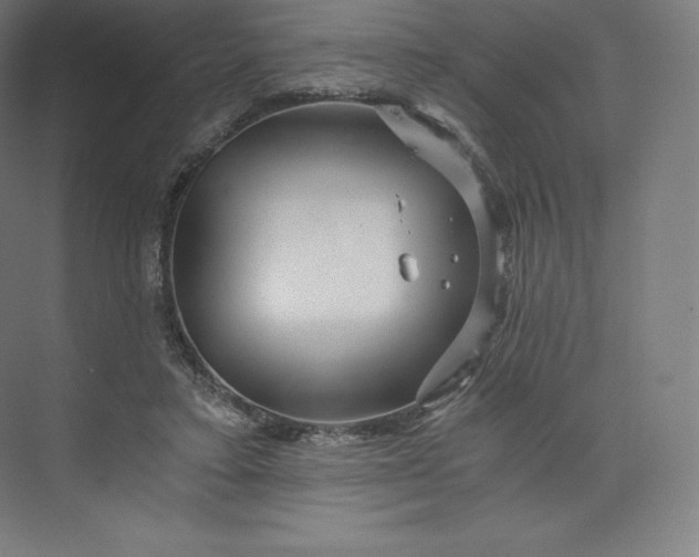 X0000074000403200609061029