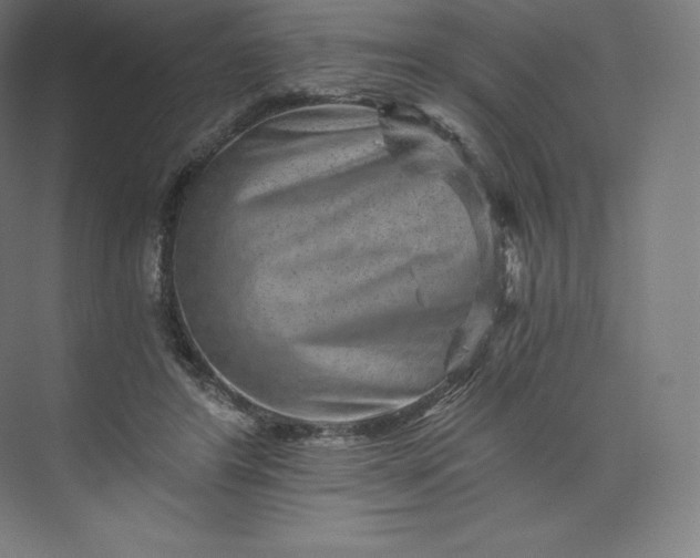 X0000074000404200609061029