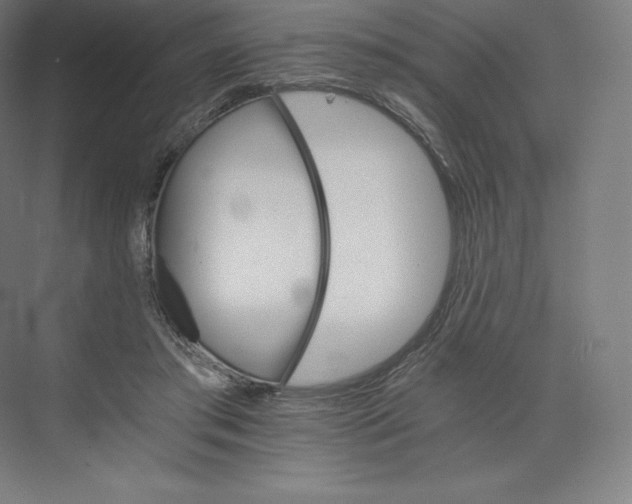 X0000074000405200609061029