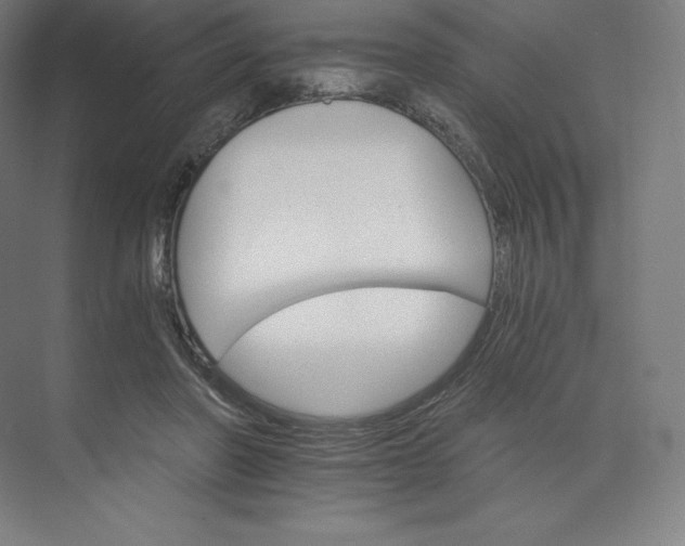 X0000074000406200609061029