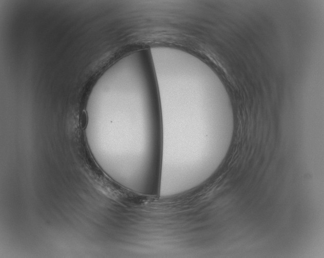 X0000074000407200609061029