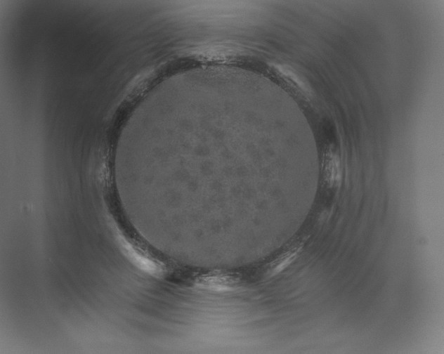 X0000074000408200609061029