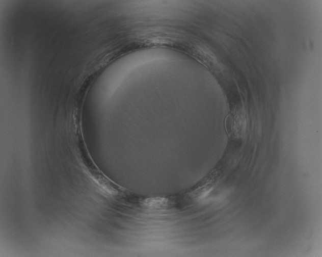 X0000074000410200609061029