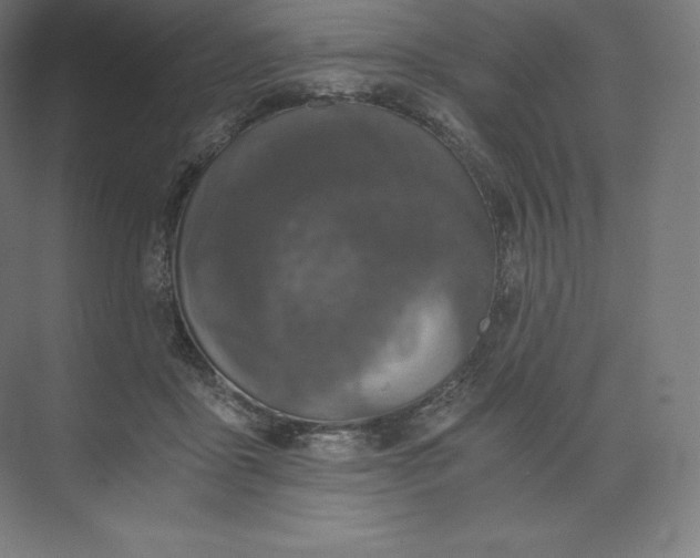 X0000074000411200609061029