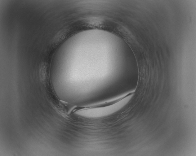 X0000074000412200609061029