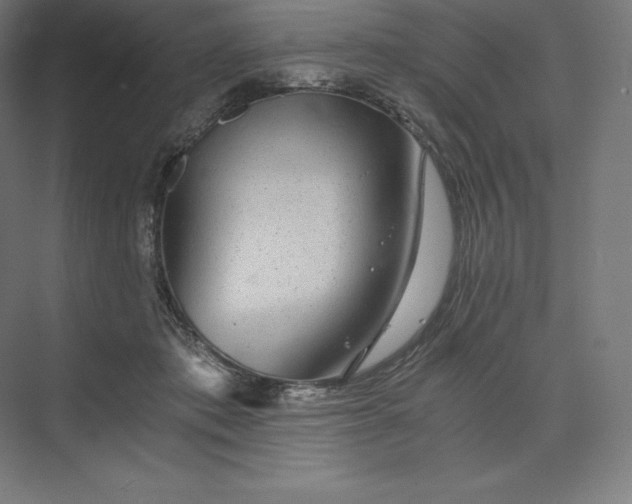 X0000074000413200609061029