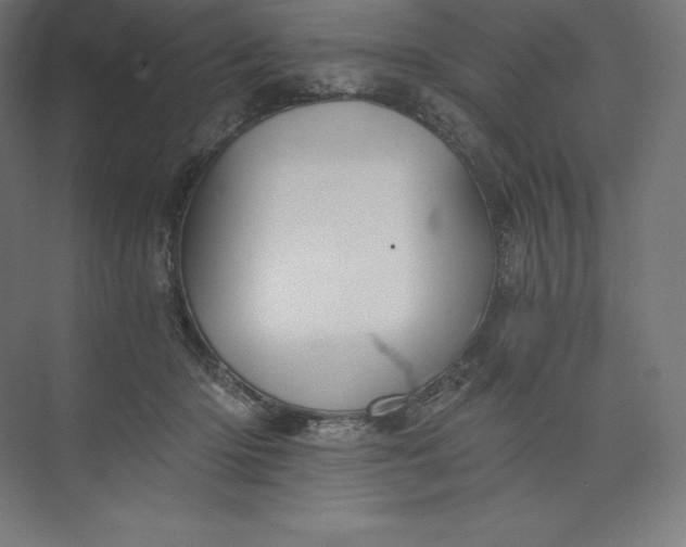 X0000074000414200609061029