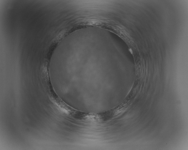 X0000074000415200609061029