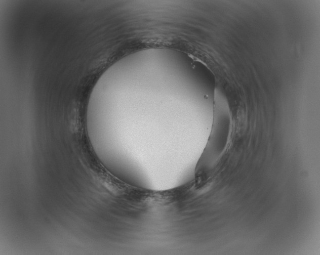 X0000074000416200609061029