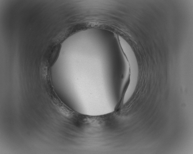 X0000074000417200609061029