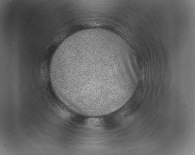 X0000074000418200609061029