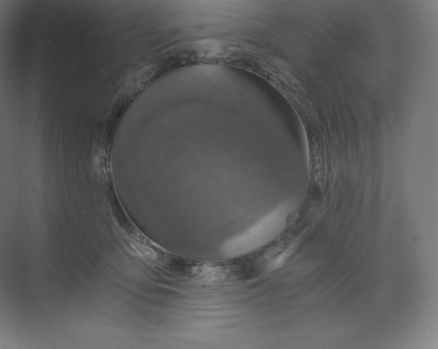 X0000074000419200609061029