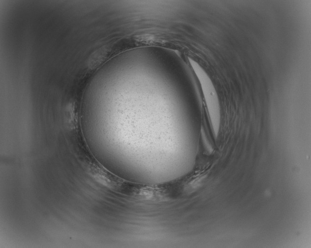 X0000074000420200609061029