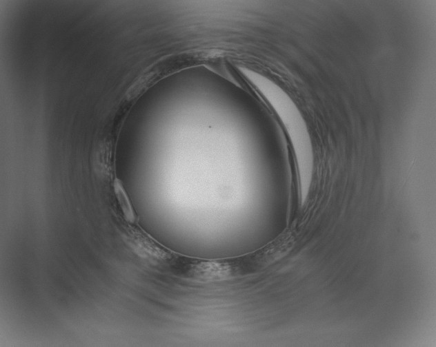 X0000074000421200609061028