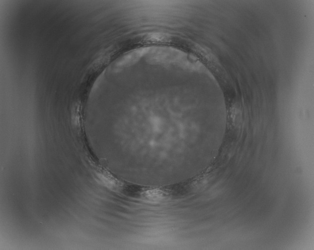 X0000074000423200609061028