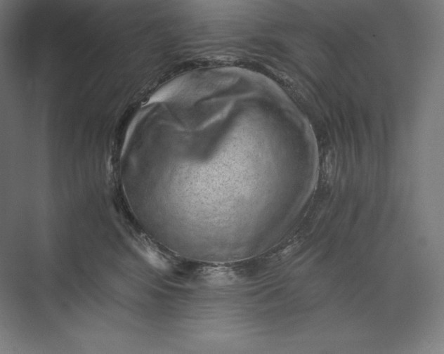 X0000074000424200609061028