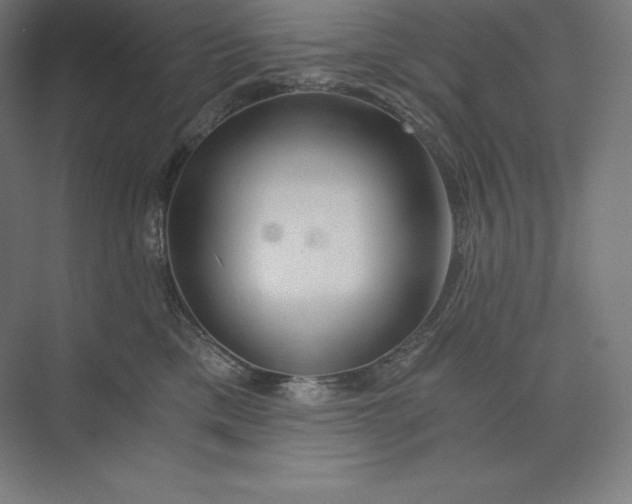 X0000074000425200609061028