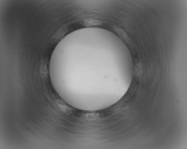 X0000074000426200609061028