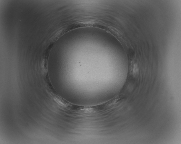 X0000074000428200609061028