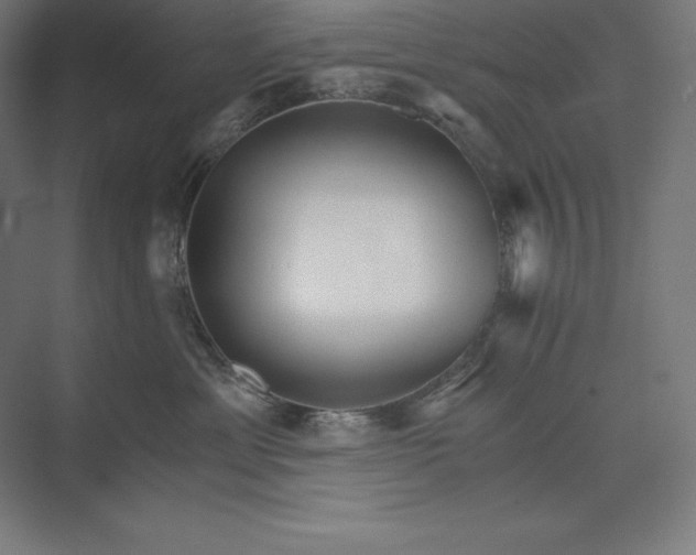 X0000074000429200609061028