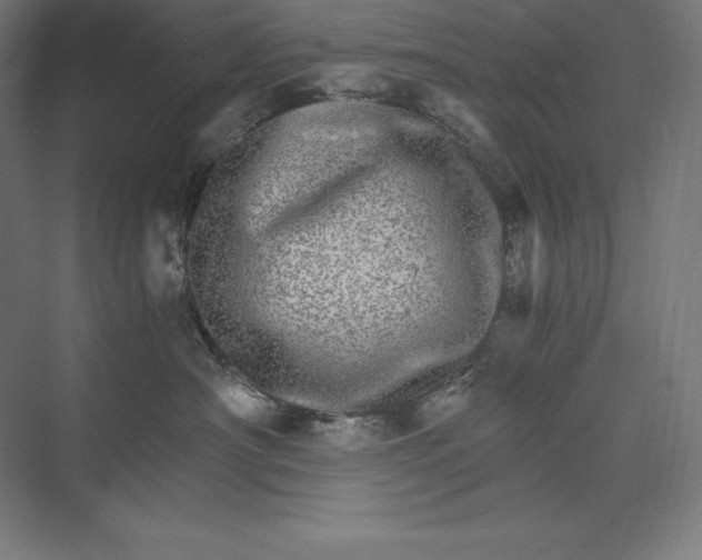 X0000074000430200609061028