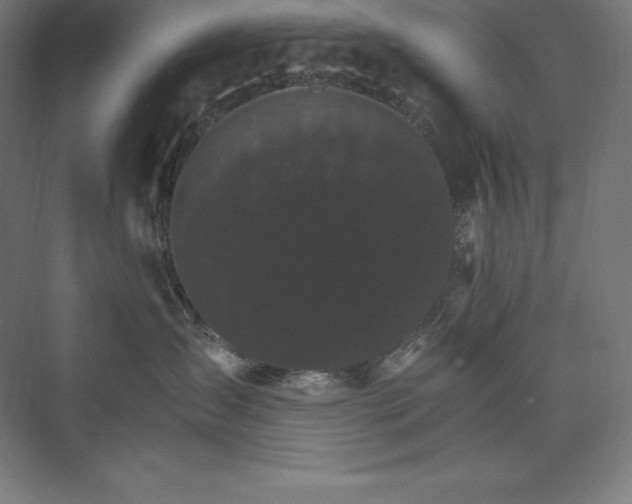 X0000074000431200609061028