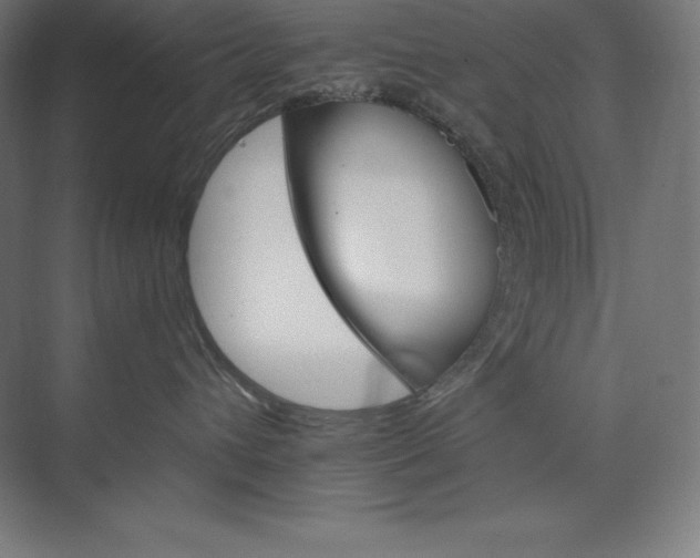 X0000074000432200609061028