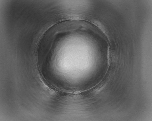 X0000074000433200609061027