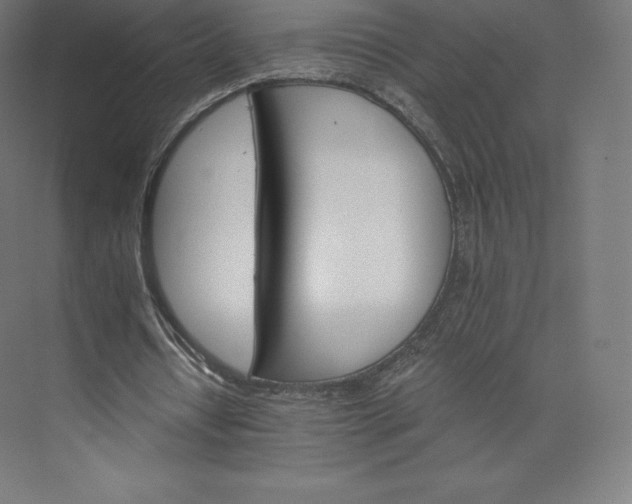 X0000074000434200609061028