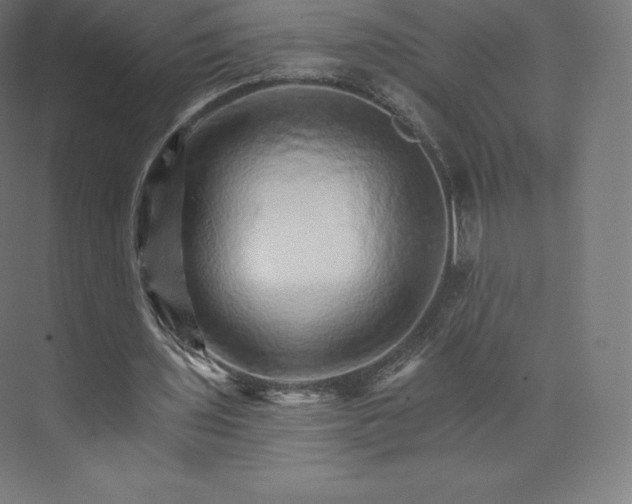 X0000074000435200609061028