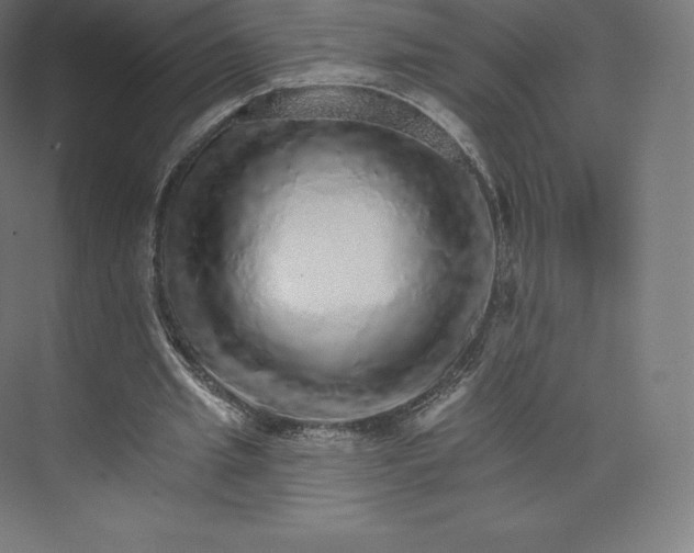 X0000074000437200609061028