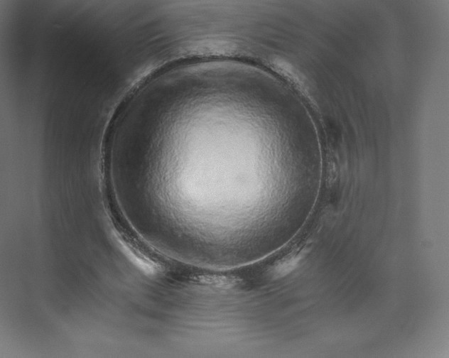 X0000074000439200609061028