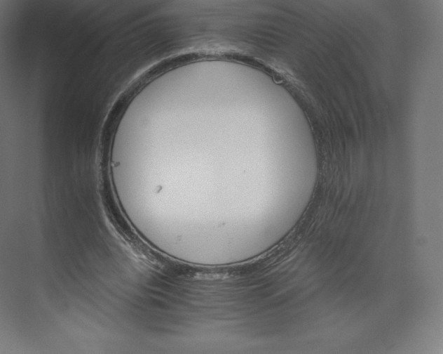 X0000074000440200609061028