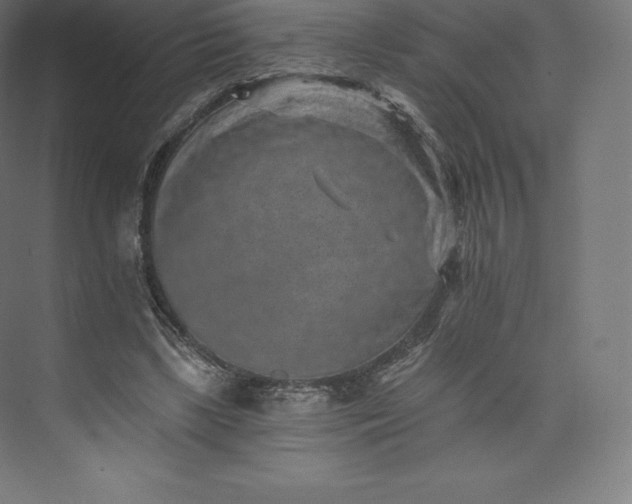 X0000074000443200609061028