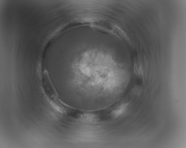 X0000074000444200609061028