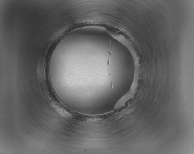 X0000074000446200609061028